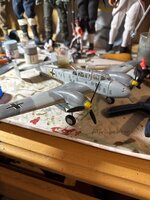 IMG_3347.jpeg