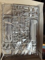 IMG_3384.jpeg