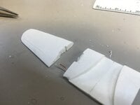IMG_3912.jpeg