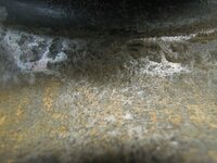 DSCN0413.JPG