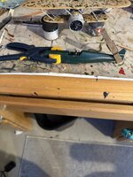 IMG_3450.jpeg