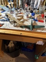 IMG_3455.jpeg
