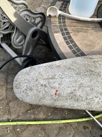 IMG_2527.jpeg