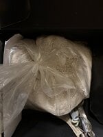 IMG_0587.jpeg