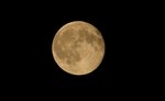 IMGP7420-cr.jpg