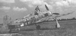 Fw 190F_I or IISG 4_black10.jpg