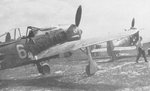 Fw 190F_I or IISG 4_white6.jpg
