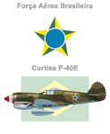 Curtiss_P40_Brazil_1.jpg