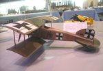 Albatros DI_4795.JPG