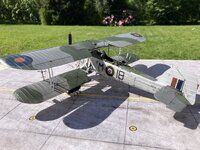 IMG_1882.jpeg