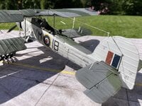 IMG_1884.jpeg