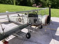 IMG_1888.jpeg