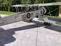 IMG_1886.jpeg