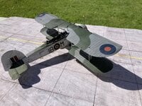 IMG_1885.jpeg