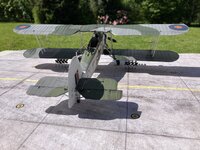 IMG_1881.jpeg