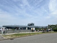 IMG_9421.jpeg