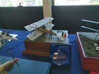 IMG_20260524_114111.jpg