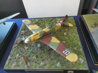 IMG_20260524_122012.jpg