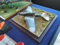 IMG_20260524_121934.jpg