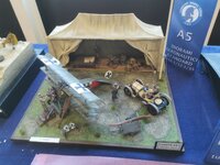 IMG_20260524_121028.jpg