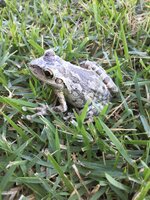IMG_0092.JPG