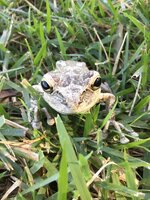 IMG_0096.JPG