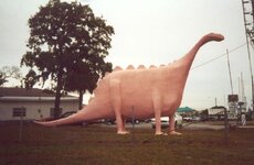 Pink Dino.jpg