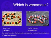 IMG_2277.JPG