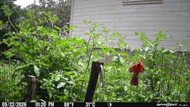 IMG_5228.JPG