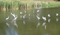 DSC03512.JPG