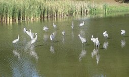 DSC03512.JPG