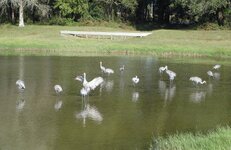 DSC03513.JPG