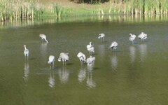 DSC03515.JPG