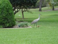DSC03798.JPG
