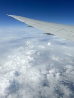 IMG_0393.jpeg
