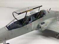 IMG_1344.jpeg