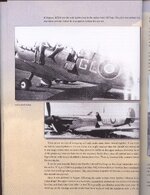 cauchi-66.jpg