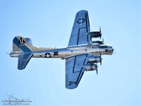 B17 TMG_8543 Tpzfix wtrmrk.JPG