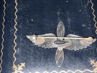 IMG_4370.jpeg