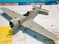 IMG_20260624_133521.jpg
