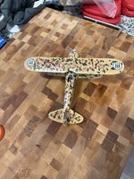 IMG_3822.jpeg