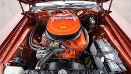 IMG_20260704_104323.jpg