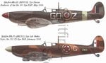 z_05a.jpg