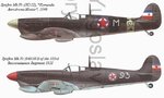 z_05b.jpg