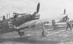 Fw 190F-1 of I_SG 4_white6.jpg