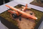 Ki-9 Spruce_5043.JPG