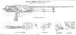 darne50cm~23cmPC.jpg