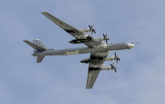 AA287TPS tu 95.jpg