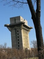 IMG_6304.jpeg
