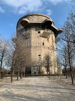 IMG_6300.jpeg